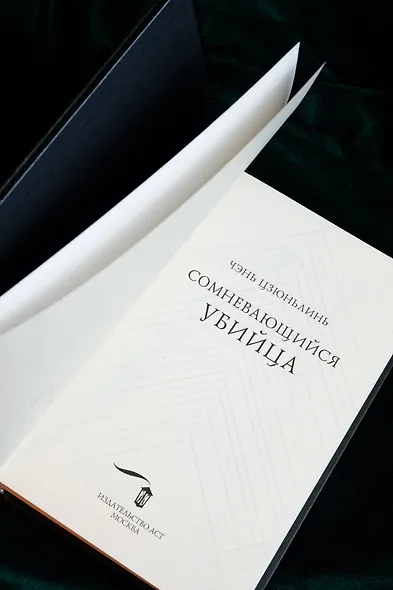 Сомневающийся убийца - фото 12