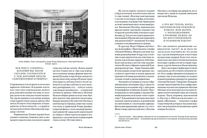 Евгений Онегин. Повести покойного Ивана Петровича Белкина. Пиковая дама - фото 13