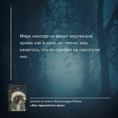Эхо проклятого леса - фото 6