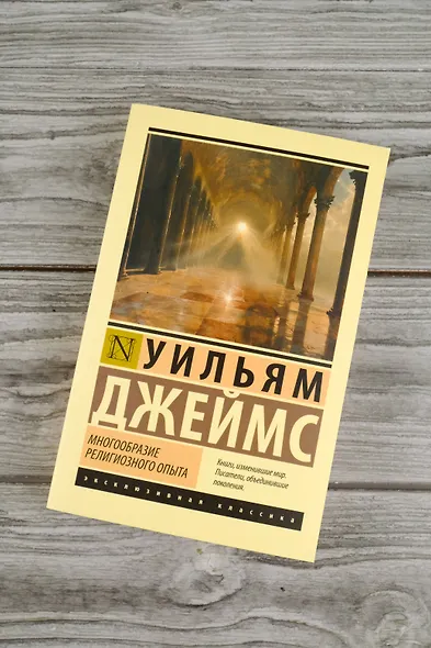 Многообразие религиозного опыта - фото 5