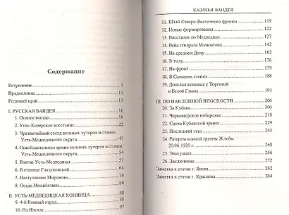 Казачья Вандея (12+) - фото 2