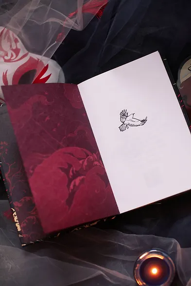 Полусолнце. Специальное издание - фото 7