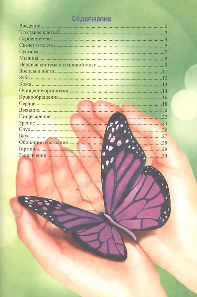 ЭНЦИКЛОПЕДИЯ. В МИРЕ ЗНАНИЙ. ЧЕЛОВЕК И ЕГО ТЕЛО - фото 6