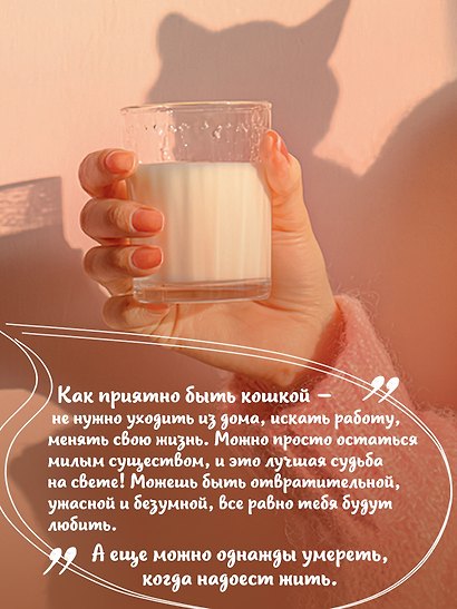 Кошки не ходят на работу - фото 7