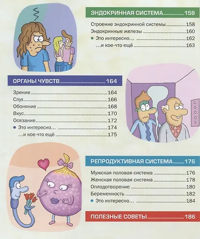 Большая иллюстрированная энциклопедия. Все о теле человека - фото 6