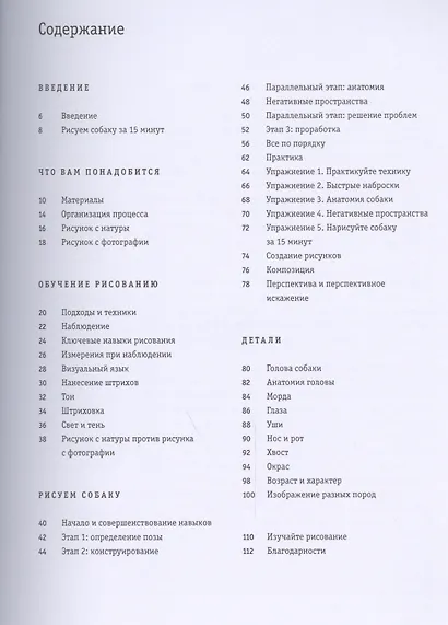 Рисуем собаку за 15 минут - фото 2