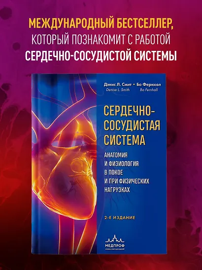 Сердечно-сосудистая система. Анатомия и физиология в покое и при физических нагрузках - фото 4
