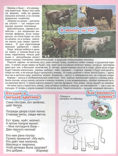 Кто у нас во дворе? Для детей 4-6 лет - фото 3