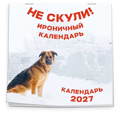 Не скули. Ироничный календарь настенный на 2027 год (300х300 мм) - фото 2