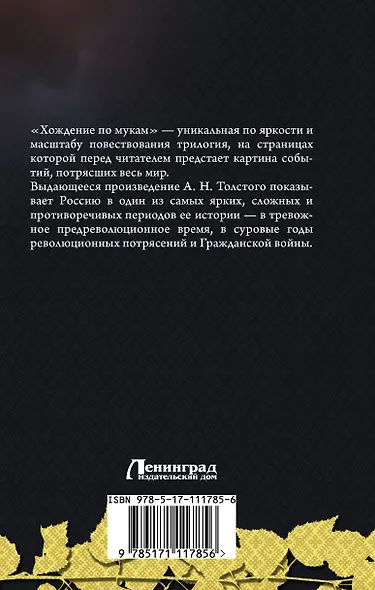 Хождение по мукам - фото 2