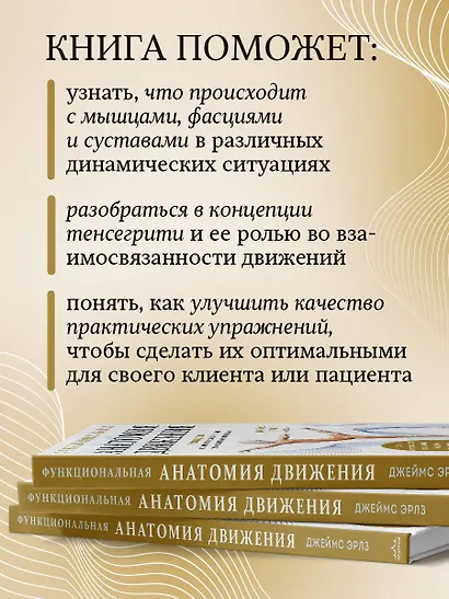 Функциональная анатомия движения. Руководство по анализу биомеханики и работе с миофасциальными меридианами - фото 6