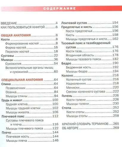 Спортивная анатомия - фото 2