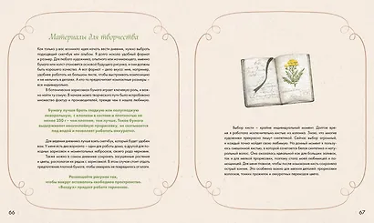 Акварельный лес. Ботанический дневник для любителей природы и акварели - фото 9