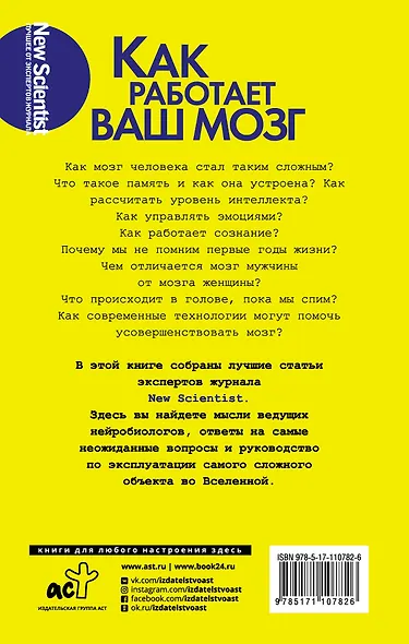Как работает ваш мозг - фото 2
