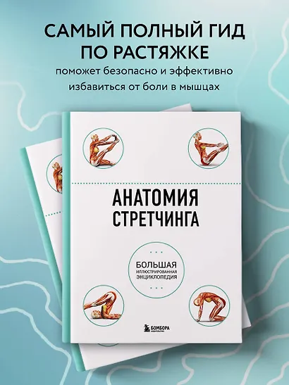 Анатомия стретчинга. Большая иллюстрированная энциклопедия - фото 4