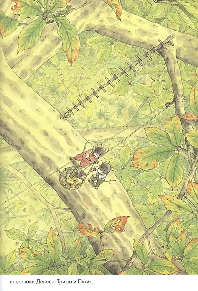 14 лесных мышей. Ужин с луной - фото 4