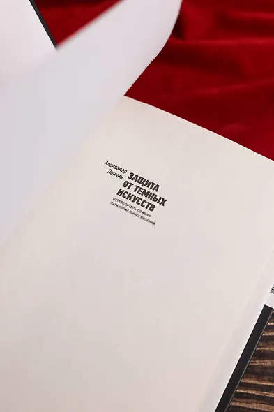 Защита от темных искусств - фото 5