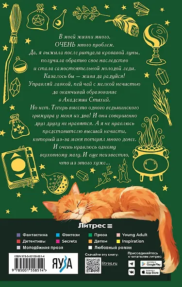 Хозяйка магической лавки. Книга 3 - фото 2