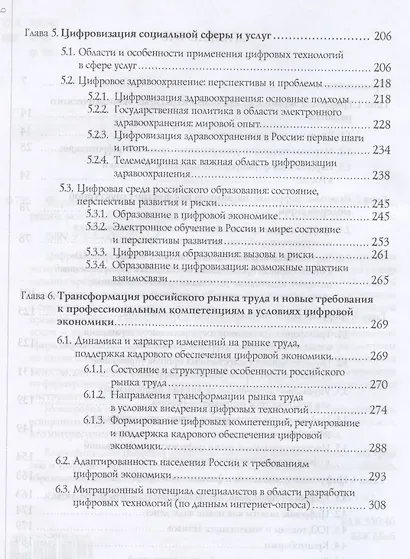 Формирование цифровой экономики в России: вызовы, перспективы, риски: монография - фото 3