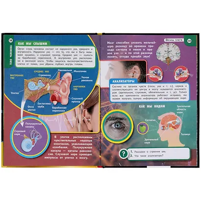 Энциклопедия с развивающими заданиями. Хочу все знать. Тело человека - фото 4