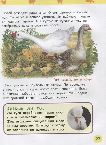 Животные фермы. Энциклопедия для детского сада - фото 4