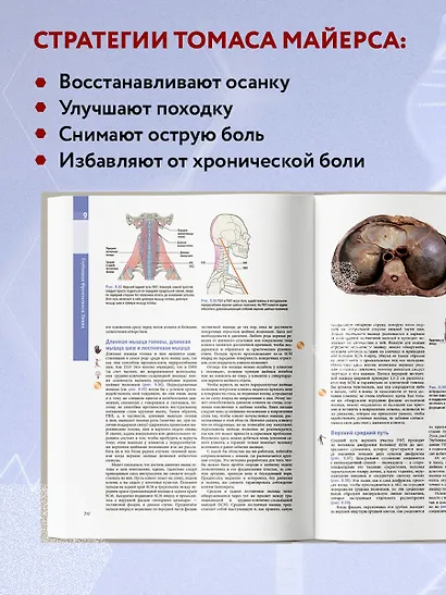 Анатомические поезда. 3-е издание - фото 5