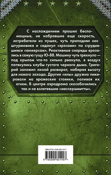 Небо в огне. Штурмовик из будущего - фото 2