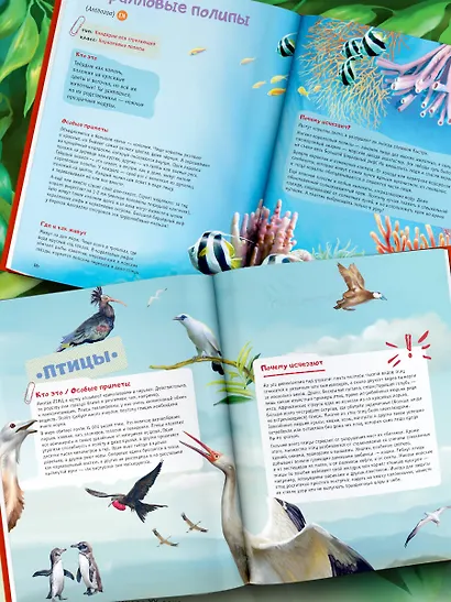 Красная книга планеты для детей. Редкие и исчезающие виды дикой природы - фото 4