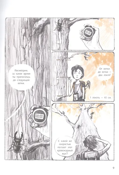 Незадачи исследователя. Насекомые - фото 4