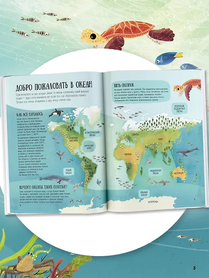 Путеводитель по подводному миру - фото 4