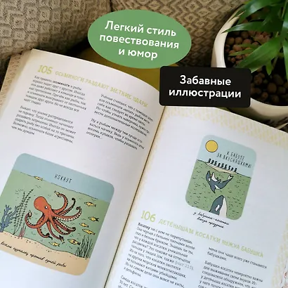 Могут ли числа быть вампирами? И ещё 320 вопросов о науке и технологиях - фото 5