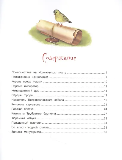 Чижик-Пыжик и загадка Петропавловской крепости - фото 2