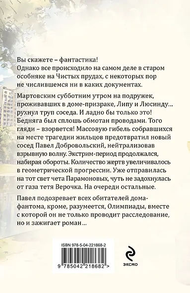 Дом-фантом в приданое - фото 2