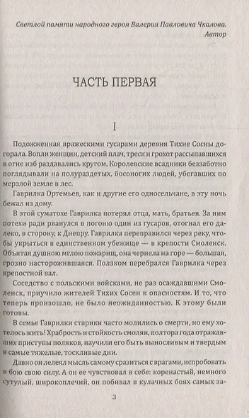 Кузьма Минин. Роман - фото 2