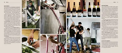 Дегустация как метод познания. Винный курс с лирическими отступлениями - фото 6