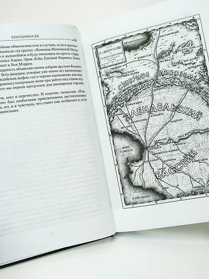 Двурожденные. Книга 4. Утраченный металл - фото 13