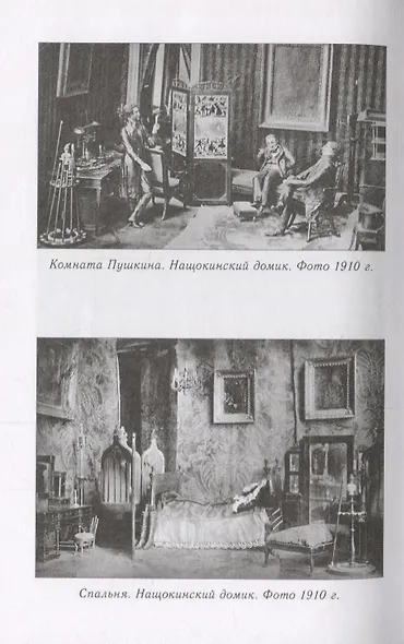 Друг Пушкина Павел Воинович Нащокин (ПушБибл) Раевский - фото 4