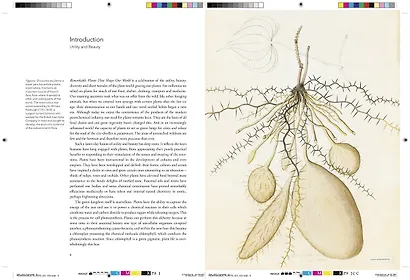Remarkable plants - фото 4