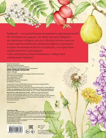 Мой первый гербарий - фото 2