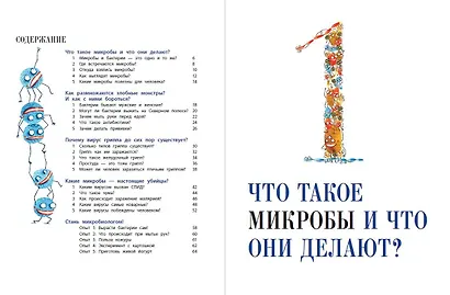 О вредных микробах и полезных бактериях - фото 4