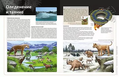 Ледниковый период. Детская энциклопедия - фото 2