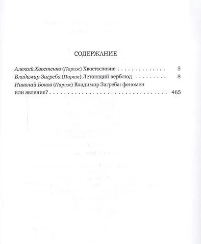 Летающий верблюд - фото 2