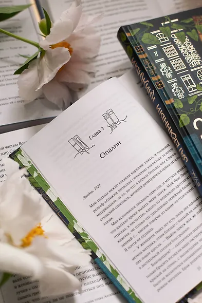 Затерянный книжный - фото 11