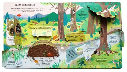 Секреты природы - фото 3