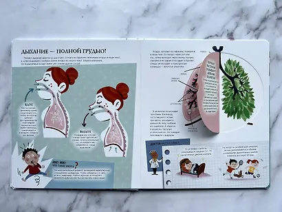 Мое тело. Интерактивные энциклопедии с колесиком, окошком и постером - фото 5