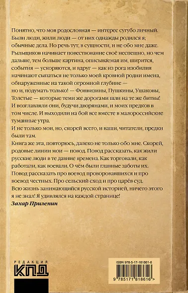 СВО XVII века - фото 2