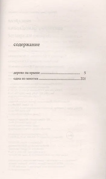 Дерево на крыше - фото 3