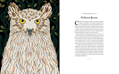 Книга исчезающих животных для неравнодушных сердец - фото 8