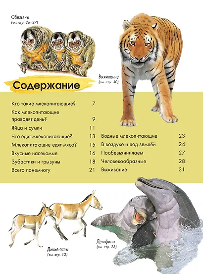 Животные - фото 8