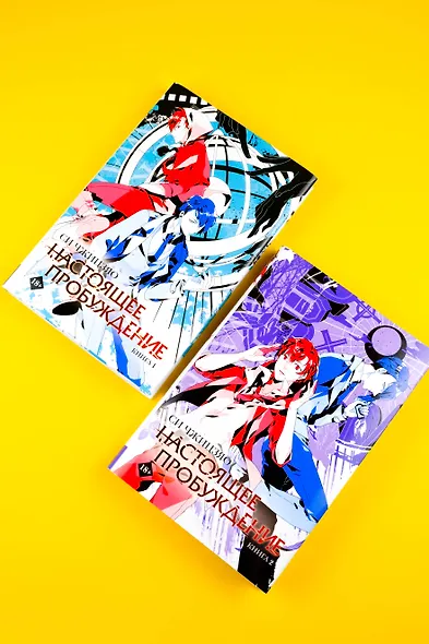 Настоящее пробуждение. Real Awakening. Книга 2 - фото 10